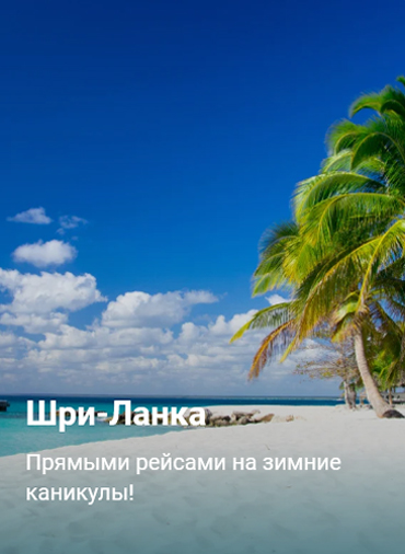 Анекс Тур